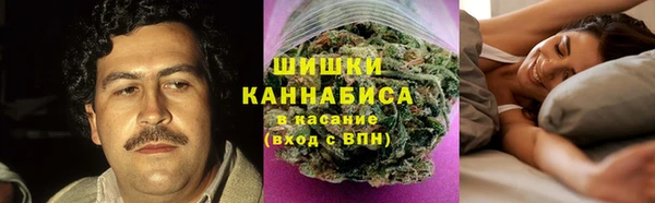 тгк Вяземский
