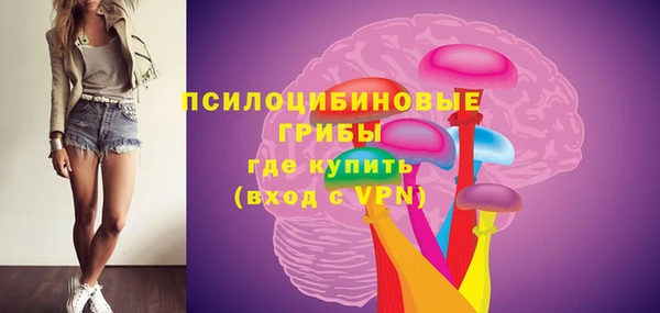 тгк Вяземский