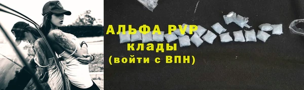 стаф Вязники