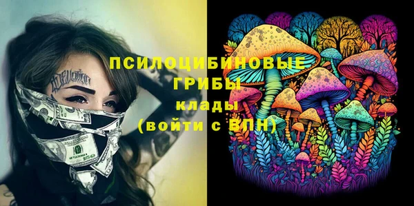 стаф Вязники