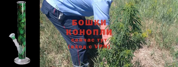 тгк Вяземский