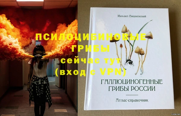 альфа пвп Горнозаводск