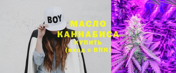 тгк Вяземский