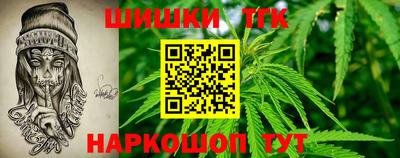 мдпв Жуковский