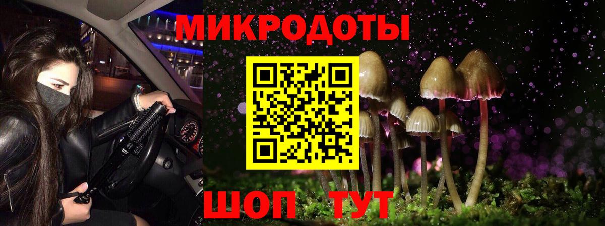 наркотики  Галлюциногенные грибы Psilocybe  Вход с VPN  Томск  Псилоцибиновые грибы Cubensis 